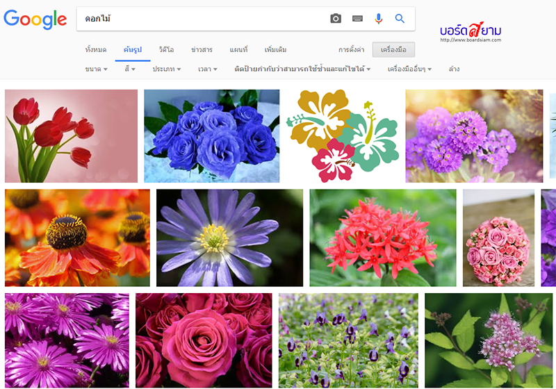 รูปภาพฟรี