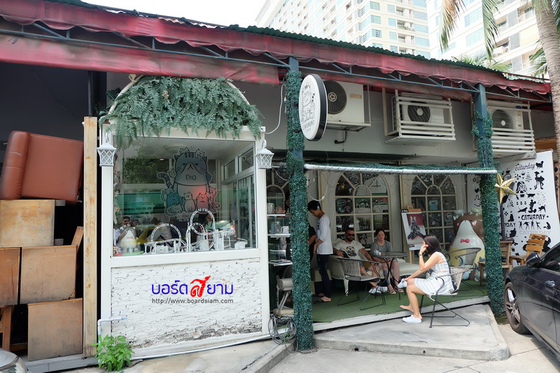 Caturday Cat Cafe-47_resize