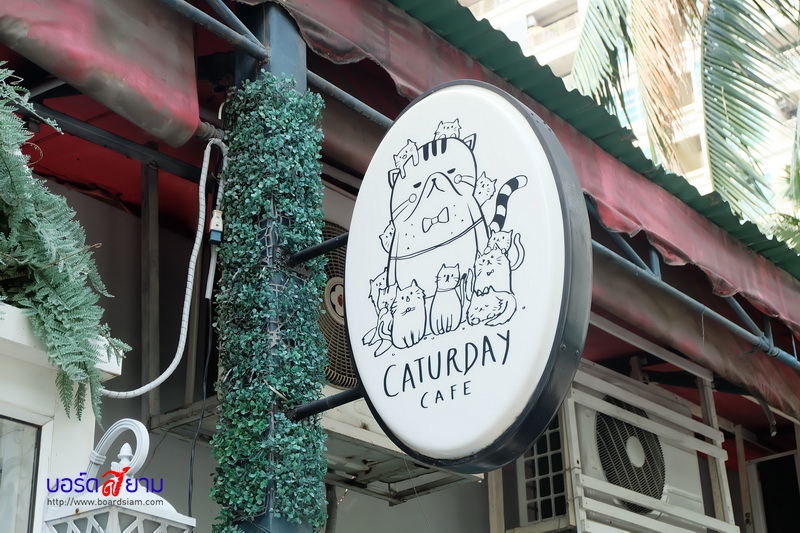 Caturday Cat Cafe-48_resize