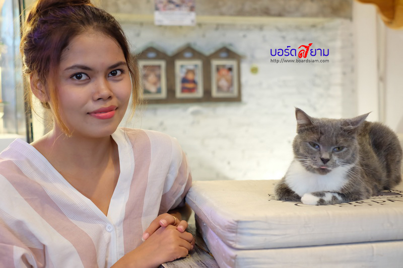 Caturday Cat Cafe-8_resize