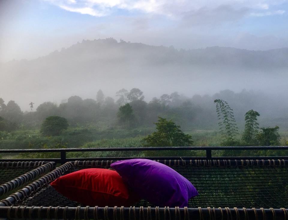 23131017_1991021647832362_7534750286601788427_n